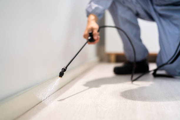 Licensed Termite Control service in Crawford County County, GA - Nex Pest Control