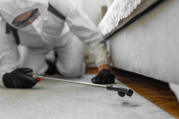 Professional Termite Control technician working in Crawford County County, GA